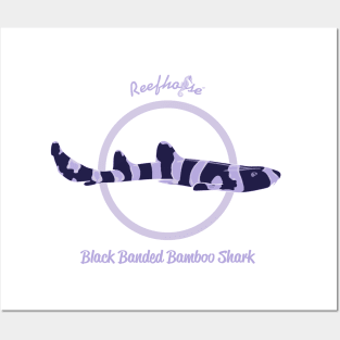 Black Banded Bamboo Shark Posters and Art